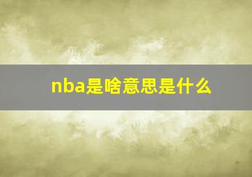 nba是啥意思是什么