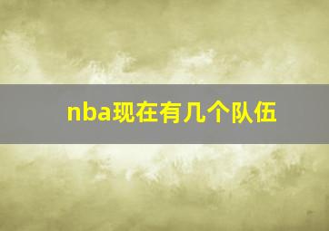 nba现在有几个队伍