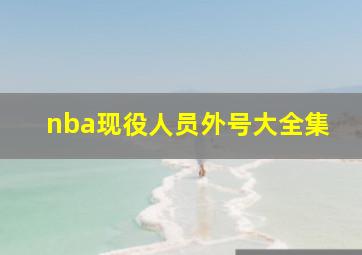 nba现役人员外号大全集