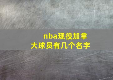 nba现役加拿大球员有几个名字