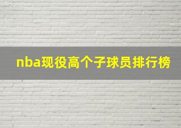 nba现役高个子球员排行榜