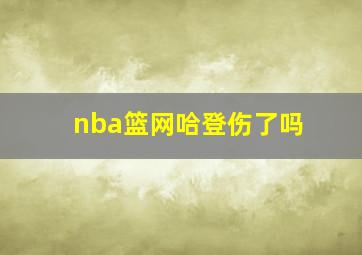 nba篮网哈登伤了吗