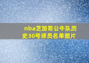 nba芝加哥公牛队历史30号球员名单图片