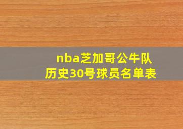 nba芝加哥公牛队历史30号球员名单表