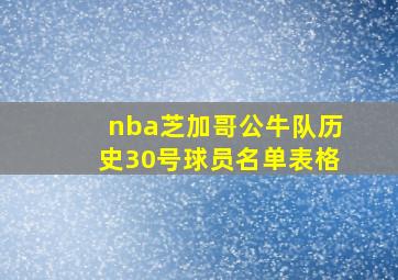 nba芝加哥公牛队历史30号球员名单表格