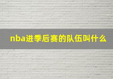 nba进季后赛的队伍叫什么