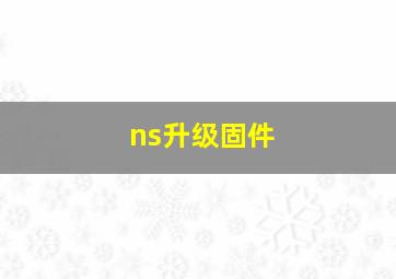 ns升级固件