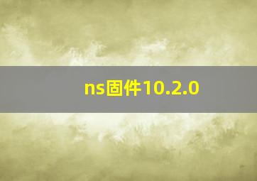 ns固件10.2.0