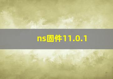 ns固件11.0.1