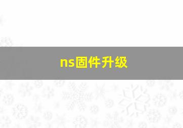 ns固件升级