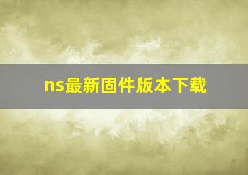 ns最新固件版本下载