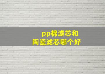 pp棉滤芯和陶瓷滤芯哪个好