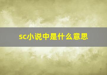 sc小说中是什么意思