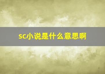 sc小说是什么意思啊