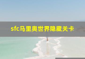 sfc马里奥世界隐藏关卡