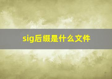 sig后缀是什么文件