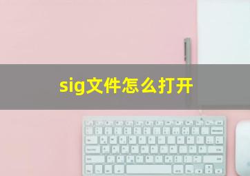 sig文件怎么打开