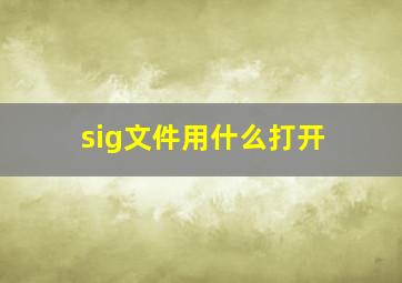 sig文件用什么打开