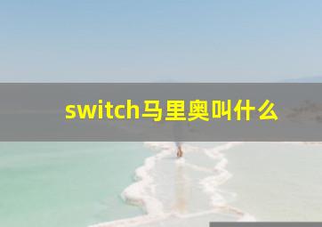 switch马里奥叫什么