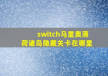 switch马里奥薄荷诸岛隐藏关卡在哪里