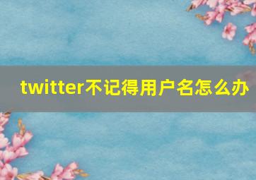 twitter不记得用户名怎么办