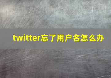 twitter忘了用户名怎么办