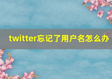 twitter忘记了用户名怎么办