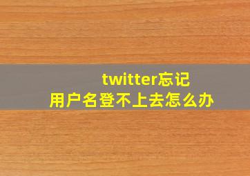 twitter忘记用户名登不上去怎么办