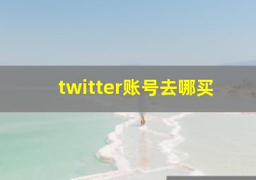 twitter账号去哪买