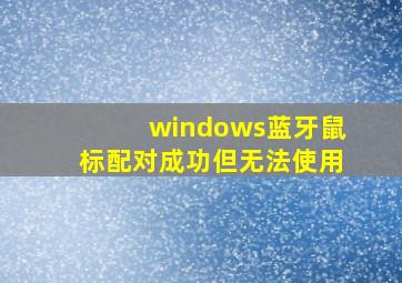 windows蓝牙鼠标配对成功但无法使用