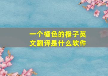 一个橘色的橙子英文翻译是什么软件