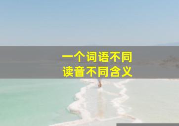 一个词语不同读音不同含义