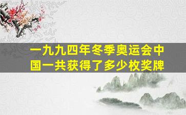 一九九四年冬季奥运会中国一共获得了多少枚奖牌