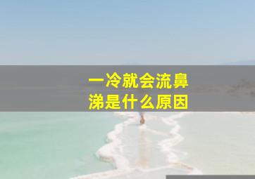 一冷就会流鼻涕是什么原因