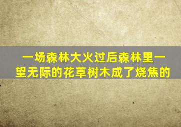 一场森林大火过后森林里一望无际的花草树木成了烧焦的