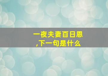 一夜夫妻百日恩,下一句是什么