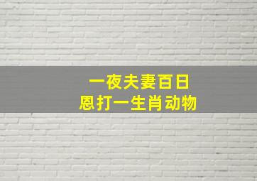 一夜夫妻百日恩打一生肖动物