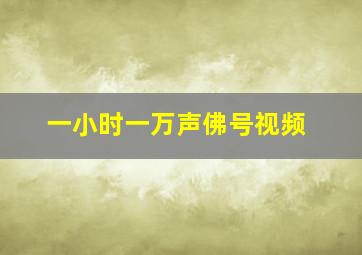 一小时一万声佛号视频