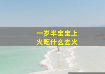 一岁半宝宝上火吃什么去火