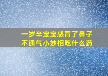 一岁半宝宝感冒了鼻子不通气小妙招吃什么药