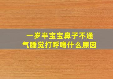 一岁半宝宝鼻子不通气睡觉打呼噜什么原因