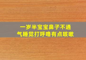 一岁半宝宝鼻子不通气睡觉打呼噜有点咳嗽