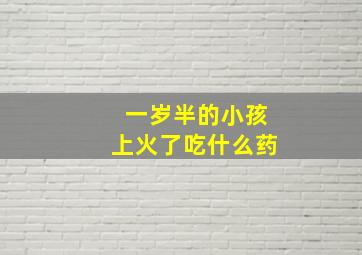 一岁半的小孩上火了吃什么药