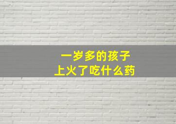 一岁多的孩子上火了吃什么药