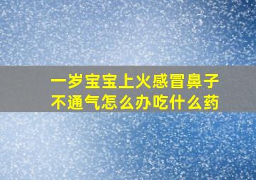 一岁宝宝上火感冒鼻子不通气怎么办吃什么药