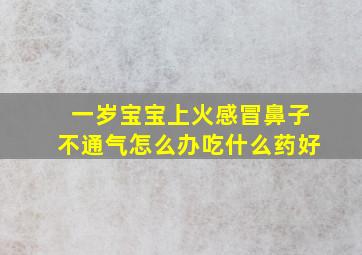 一岁宝宝上火感冒鼻子不通气怎么办吃什么药好