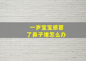 一岁宝宝感冒了鼻子堵怎么办