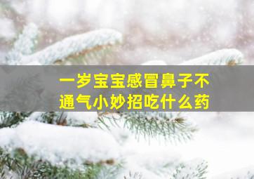 一岁宝宝感冒鼻子不通气小妙招吃什么药