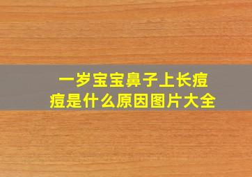 一岁宝宝鼻子上长痘痘是什么原因图片大全