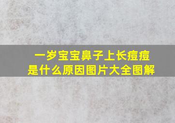 一岁宝宝鼻子上长痘痘是什么原因图片大全图解